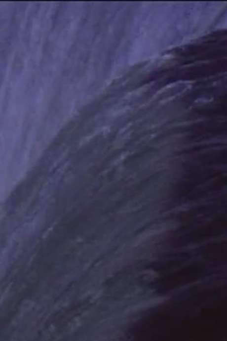 Five Year Diary, Reel 31: Niagara Falls (August 19–28, 1983)